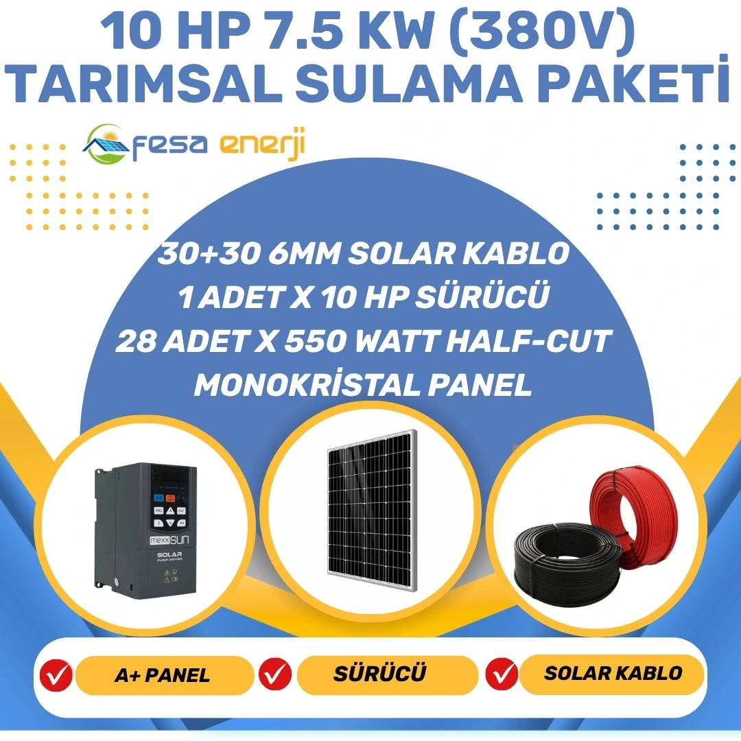 Fesa Enerji 10hp Dalgıç Pompa - Tarımsal Sulama Sistemi