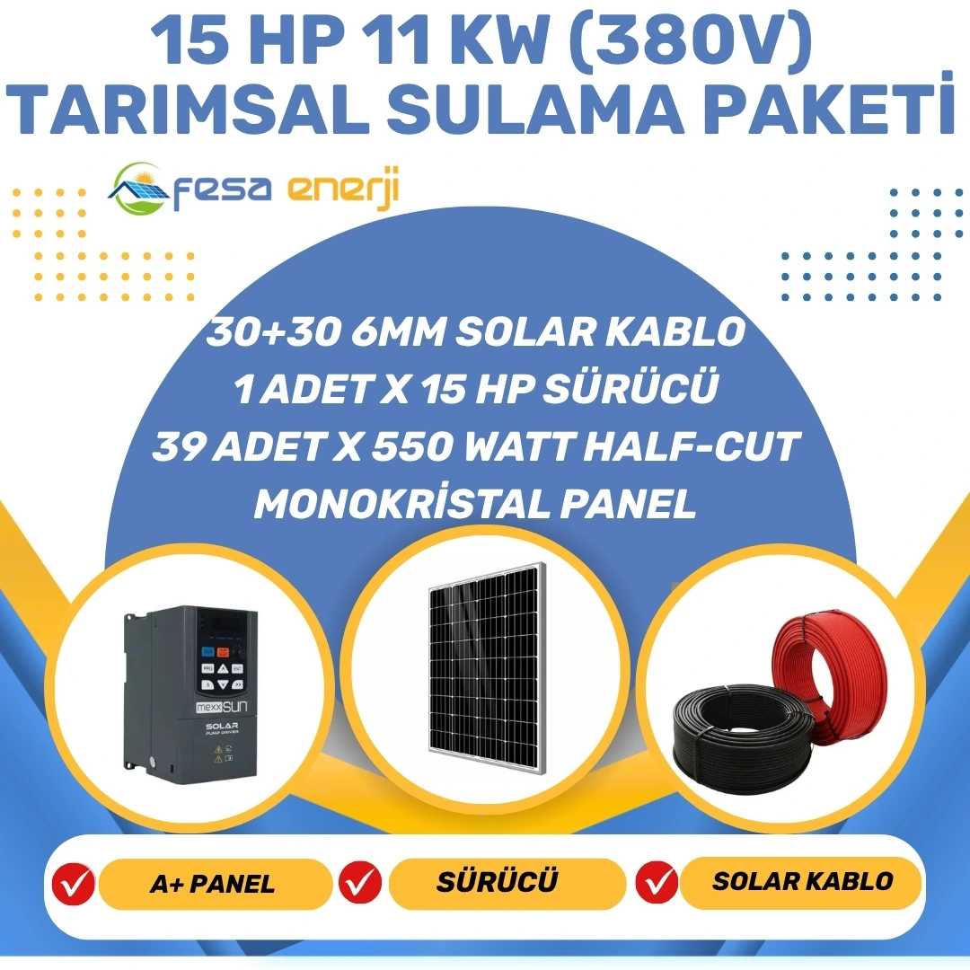 Fesa Enerji 15hp Dalgıç Pompa - Tarımsal Sulama Sistemi
