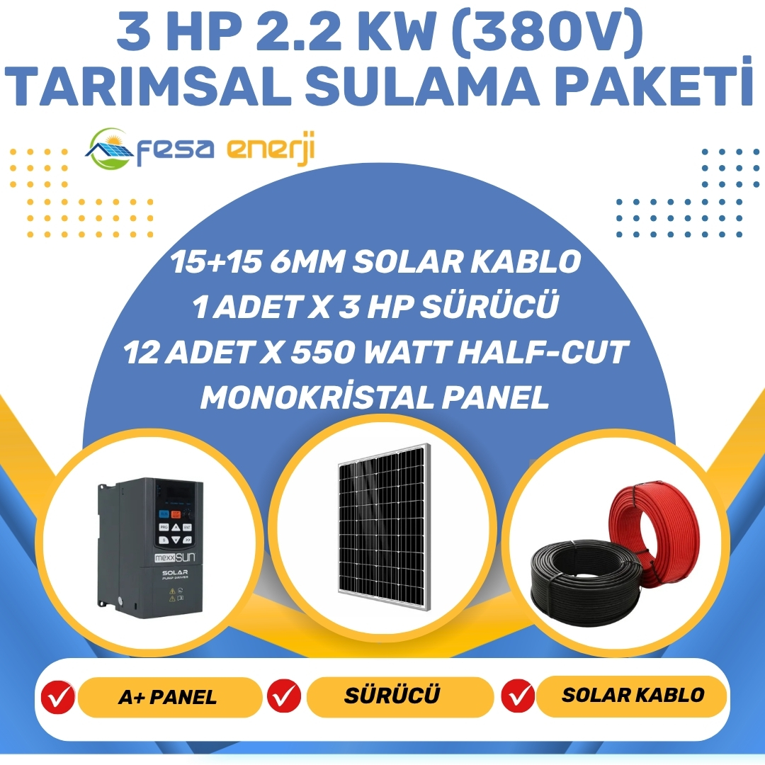 Fesa Enerji 3hp Dalgıç Pompa - Tarımsal Sulama Sistemi