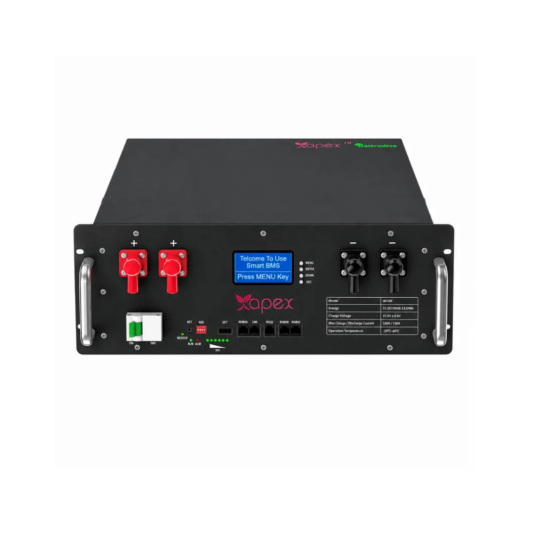 Apex 51.2V 100Ah LiFePO4 Lityum Batarya (5.12 kWh)