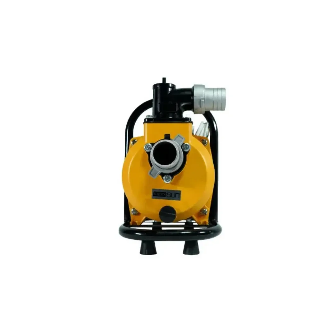 Mexxsun Dc Yüzey Pompa 1.5hp 1100w (sfp20-17-1100w/96v)